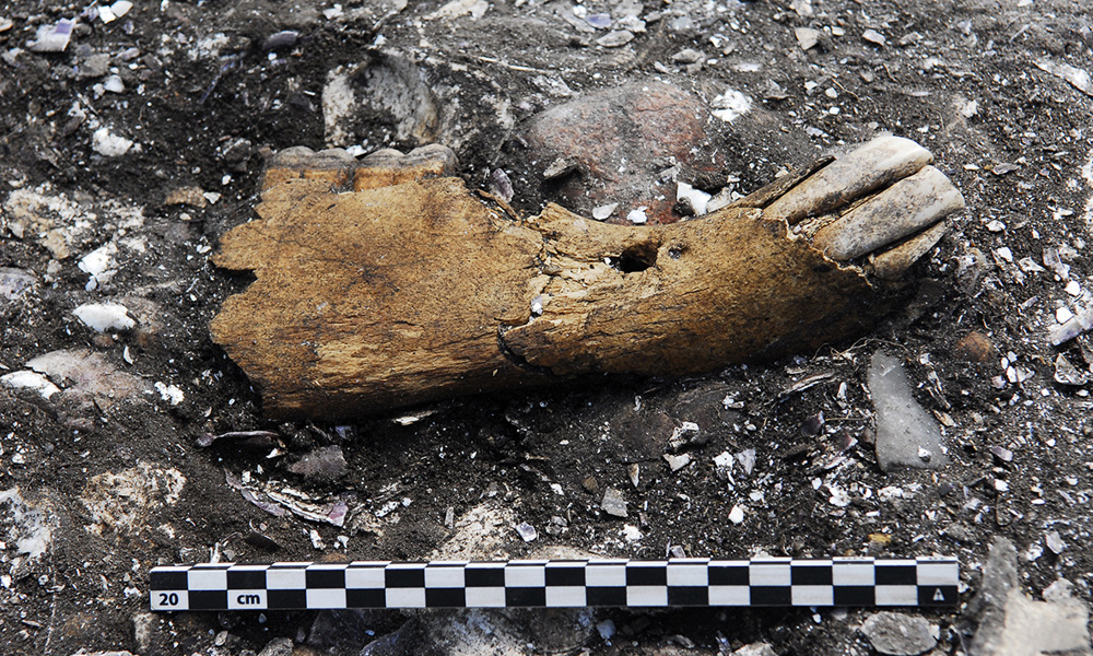 Arkæologien i nyt lys (2): Ginnerup ved Kolindsund