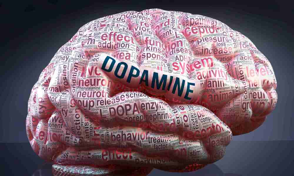 Ny viden om Parkinsons sygdom