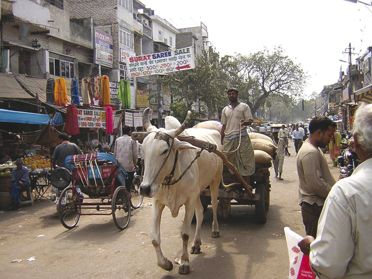 Politik og samfund i Syd- og Sydøstasien