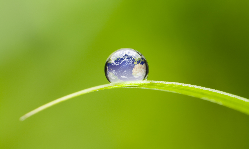 Bæredygtige forbrugsvaner
