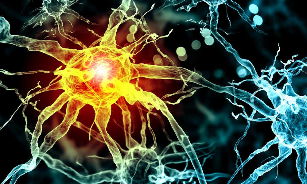 Hvordan virker medicin og psykofarmaka på menneskekroppen?