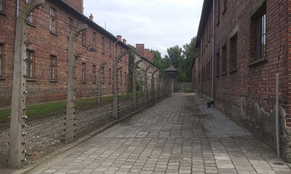 Auschwitz: 80-året for befrielsen