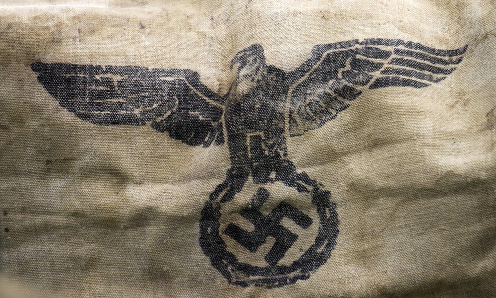 Danmark under besættelsen 4: Med Kongens billigelse – Om frikorps Danmark