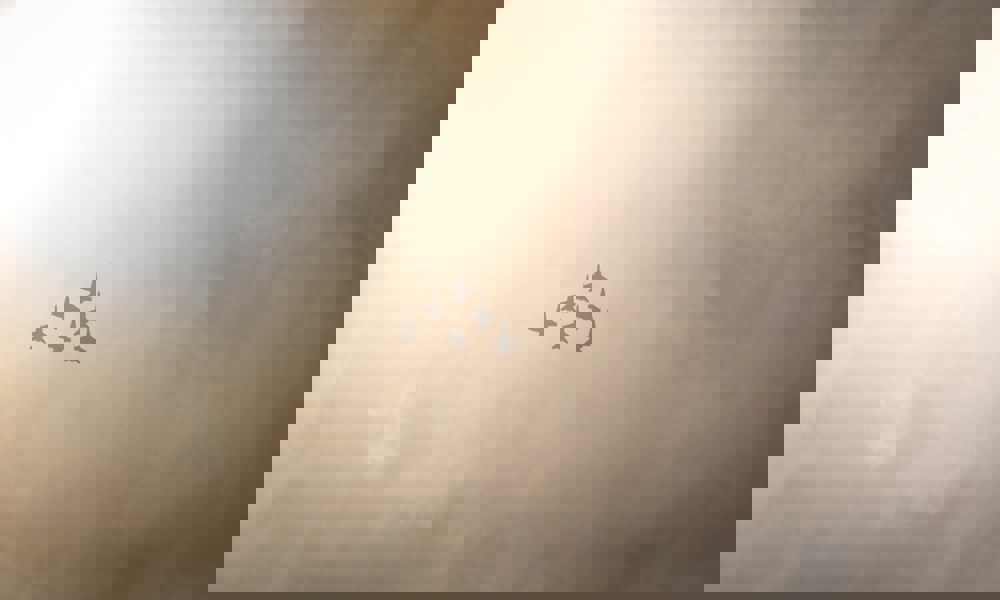 Samfund og beredskab -  Når (politisk) ledelse bliver risikobetonet