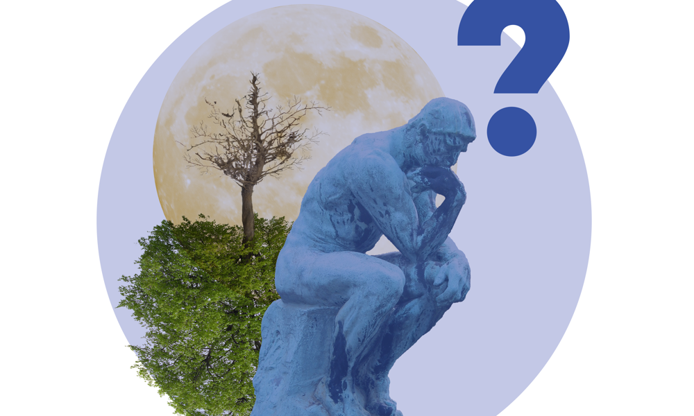 Dannelsens røde tråd