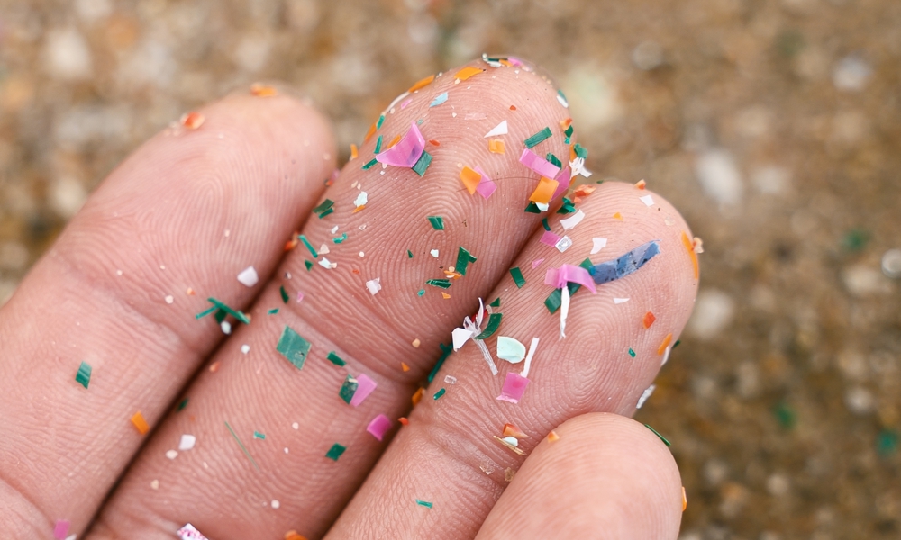 Mikroplast i hjernen – en overset trussel?