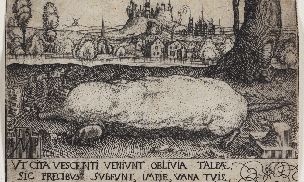 Bævergejl og muldvarpefedt: Om brugen af dyr og menneske i folkemedicinen