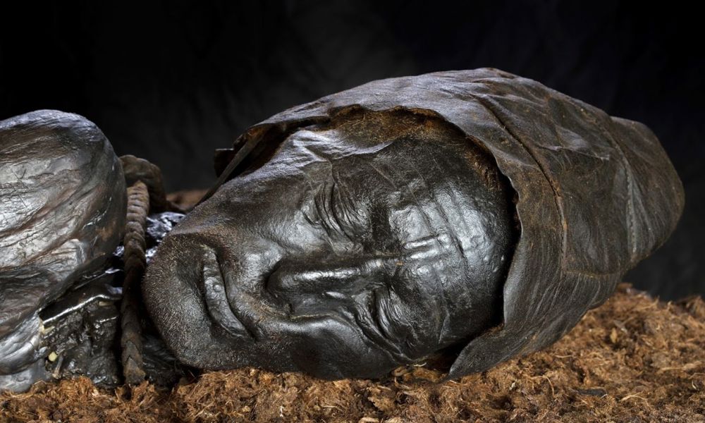 Retsmedicinsk ansigtsrekonstruktion